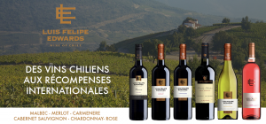 meilleur vin du Chili Luis felipe Edwards